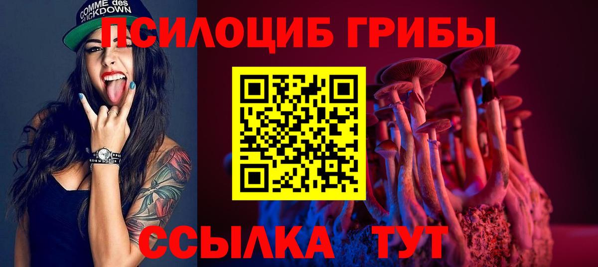 Псилоцибиновые грибы мицелий  Вход с VPN  Кыштым 